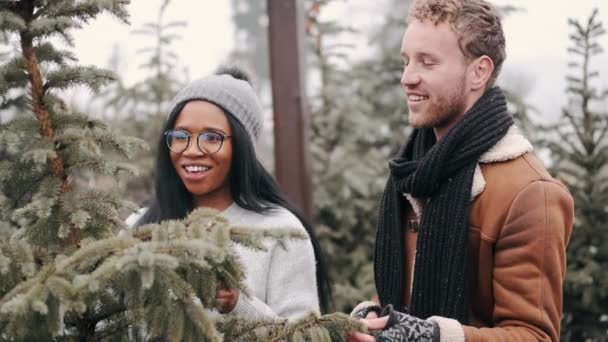 Vrolijk multiraciaal koppel winkel voor de perfecte kerstboom — Stockvideo