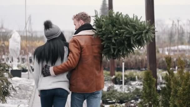 Hombre europeo y mujer afroamericana llevando comprado árbol de Navidad — Vídeos de Stock