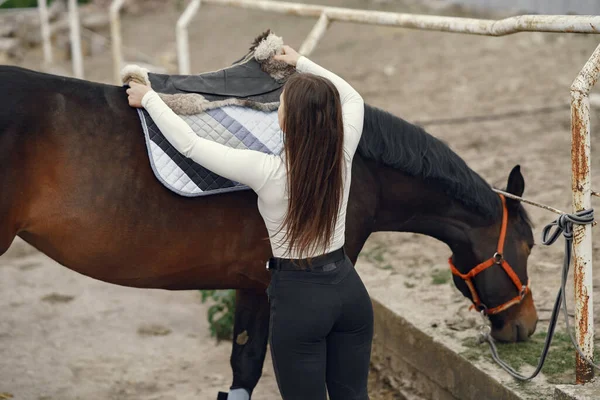 Menina elegante em uma fazenda wiith um cavalo — Fotografia de Stock