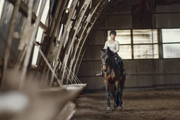 Elegantní dívka na farmě s koněm — Stock fotografie