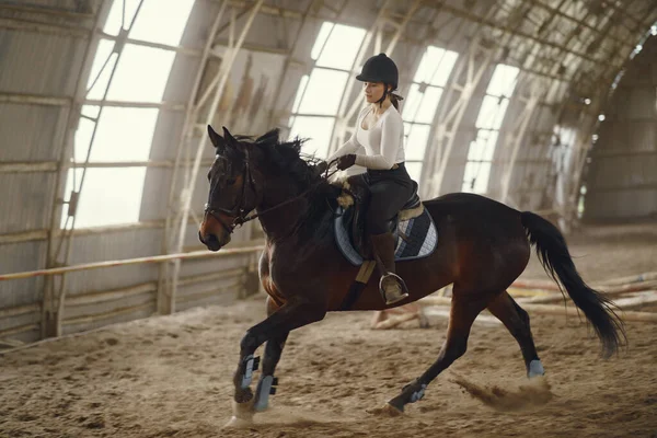 Elegant flicka på en gård med en häst — Stockfoto