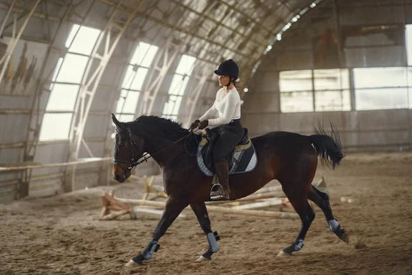Elegant flicka på en gård med en häst — Stockfoto