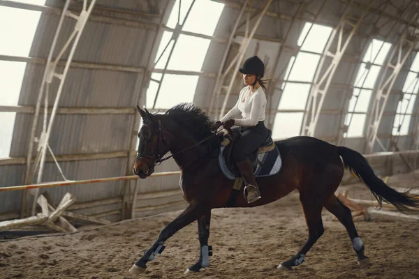 Elegante chica en una granja con un caballo — Foto de Stock