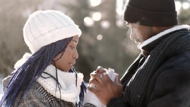 Loving Afro-Amerikaans paar knuffelen buiten in de winter — Stockvideo