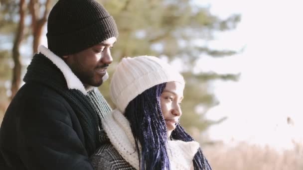 African American couple hugging in the snowy forest — Stock Video