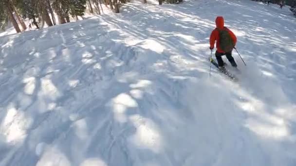 Follow Cam Of A Solo Woman Skiing On A Sunny Winter Day — Stock Video