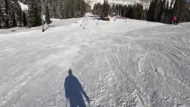 Follow Cam Of A Solo Woman Skiing On A Sunny Winter Day — Stock Video