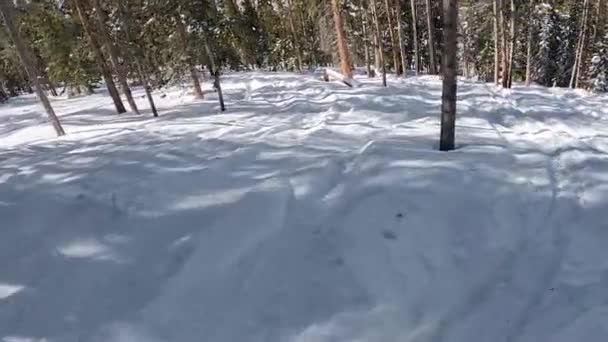 Folgen Sie der Kamera einer Solo-Frau beim Skifahren an einem sonnigen Wintertag — Stockvideo