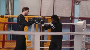 Koç ve boksörü ringde.