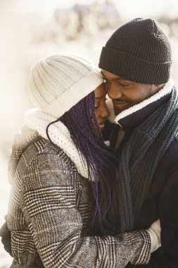 Afrika kökenli Amerikalı çift kış ormanında