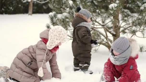 Niños i la construcción de un muñeco de nieve en un día de invierno en el patio trasero — Vídeos de Stock