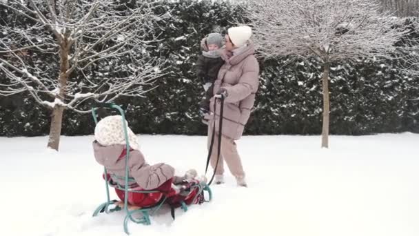 Ung lycklig mor och hennes dotter njuter av en släde rida i en vacker snöig bakgård — Stockvideo