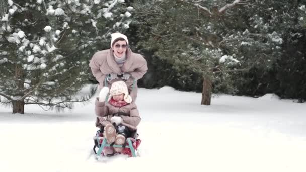 Jong gelukkig moeder en haar dochter genieten van een slee rit in een mooie besneeuwde achtertuin — Stockvideo