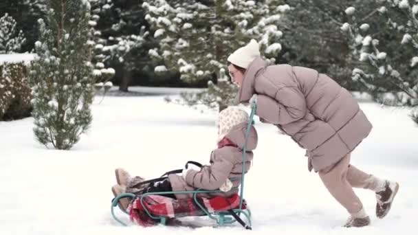 若い幸せな母親と彼女の娘は美しい雪の庭でそりに乗る — ストック動画