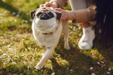 Esmer, maskeli, köpekli.