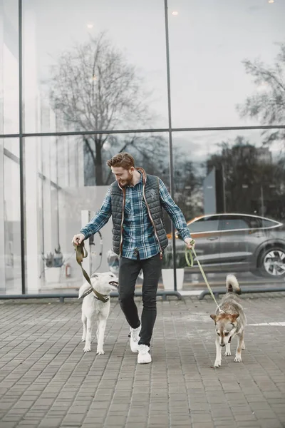 Man with a dogs in a city — стоковое фото