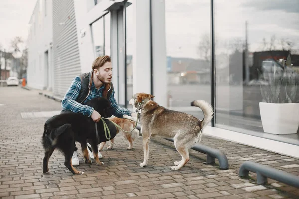 Man with a dogs in a city — стоковое фото