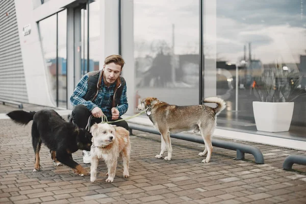 Man with a dogs in a city — стоковое фото