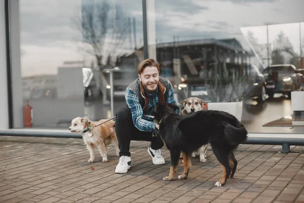 Man with a dogs in a city — Φωτογραφία Αρχείου