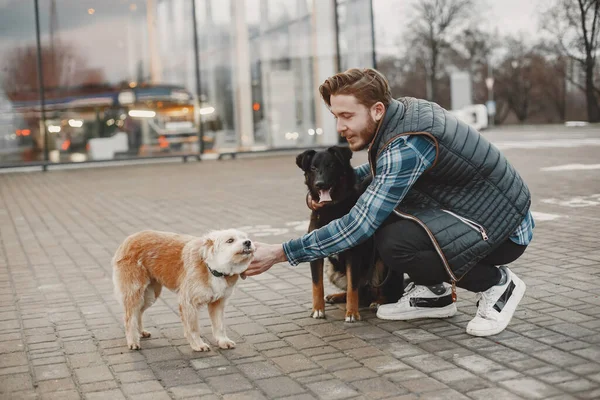 Man with a dogs in a city — стоковое фото