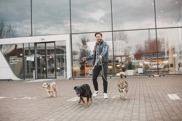 Man with a dogs in a city — стоковое фото