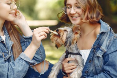 Parkta küçük köpekle oynayan iki tatlı kız.