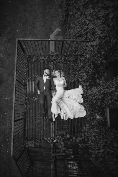 Wedding couple walking in the park near the university in chicago — Stock Photo, Image