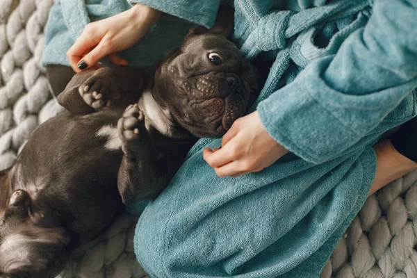 Mujer elegante en un albornoz azul con bulldog negro — Foto de Stock