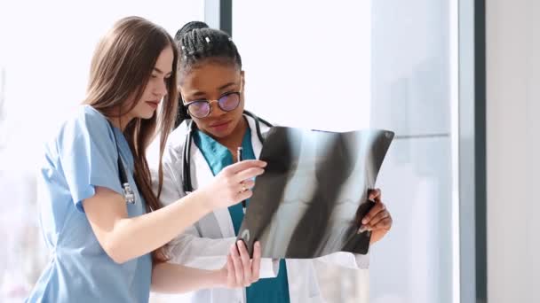 Two doctors studying x-ray image in bright office — 비디오