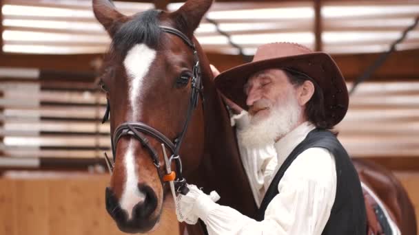 Un primer plano de pareja mayor acariciando un caballo en un establo — Vídeos de Stock