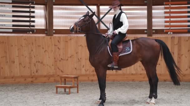 Old cowboy in a hat riding a horse — 비디오