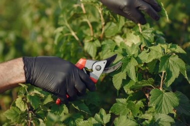 Siyah önlüklü son sınıf öğrencisi. Önleyici kullan.