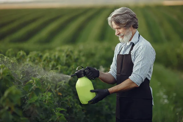 Hombre mayor regando sus plantas en su jardín con espolvorear —  Fotos de Stock