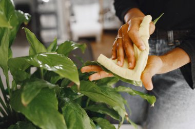 Afrikalı kadın büyük bitkilerle ilgileniyor.