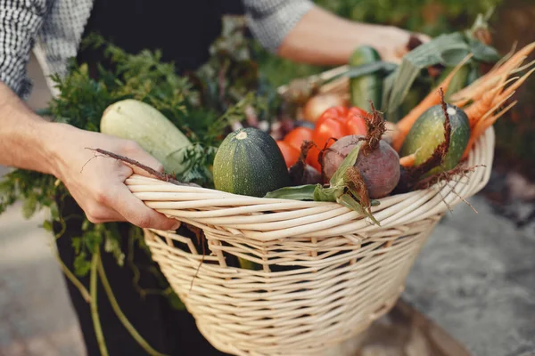 Potret petani yang tersenyum sambil memegang keranjang sayuran — Stok Foto