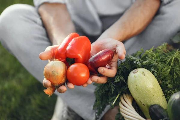 Potret petani tersenyum memegang sayuran di tangannya — Stok Foto