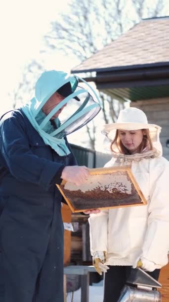 Kadın ve erkek arıcılar dışarıda arı kovanını inceliyor. — Stok video