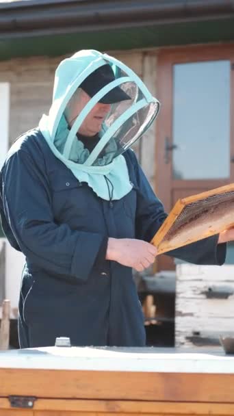 老年人寻呼机从蜂窝中采集蜂蜜 — 图库视频影像