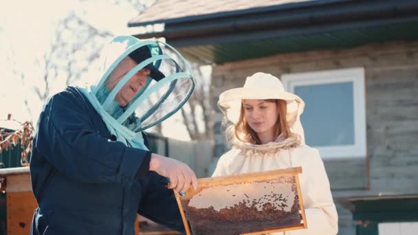 オスとメスの養蜂家検査蜂の巣屋外 — ストック動画