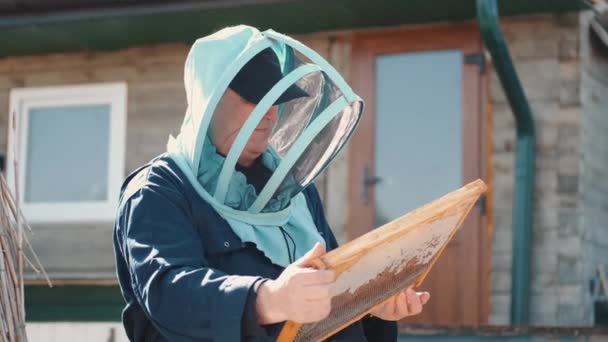 老年人寻呼机从蜂窝中采集蜂蜜 — 图库视频影像