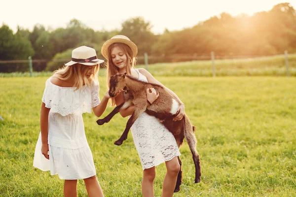 Duas meninas bonitos em um campo com uma cabra — Fotografia de Stock