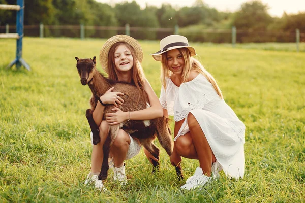 Two cute girls in a field with a goats — Stockfoto