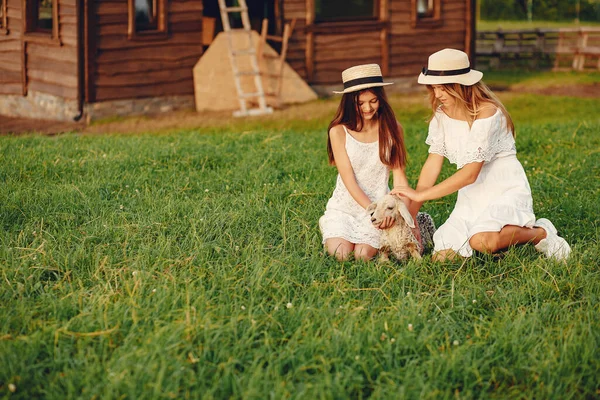 Due ragazze carine in un campo con una capra — Foto Stock