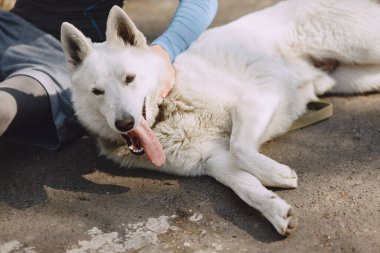 Yaz ormanlarında yakışıklı adam eğitimi.