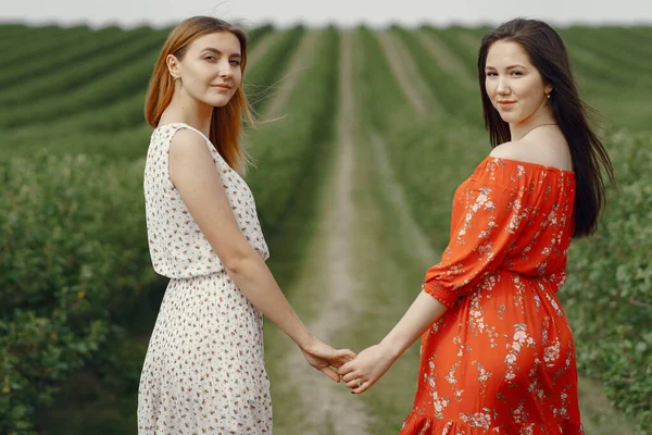 Chicas elegantes y elegantes en un campo de verano — Foto de Stock