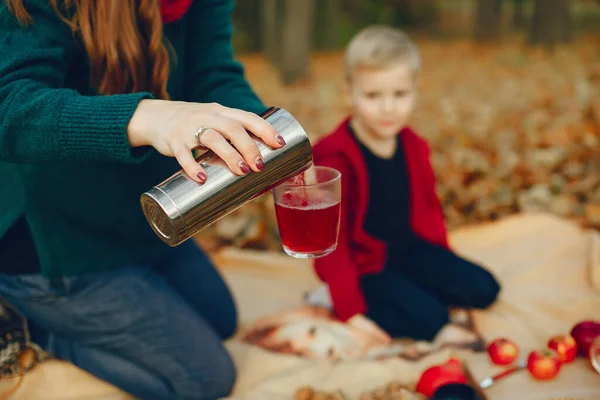 Família com filho pequeno em um parque de outono — Fotografia de Stock