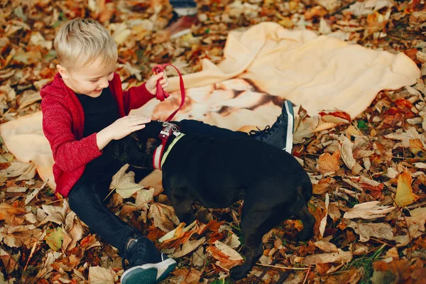 Schattig jongetje spelen in een park — Stockfoto
