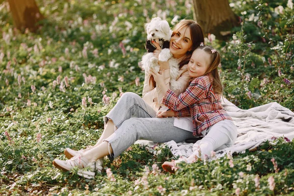 Mãe com filha em uma floresta de primavera com cão — Fotografia de Stock