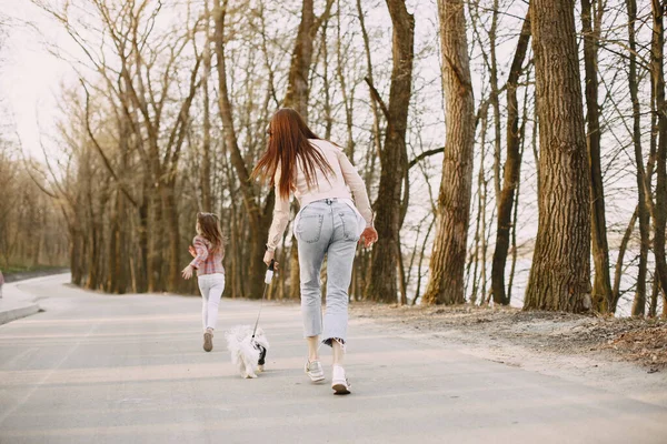 Mãe com filha em uma floresta de primavera com cão — Fotografia de Stock