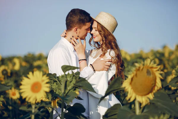 Красива і стильна пара в польовому дроті соняшники — стокове фото